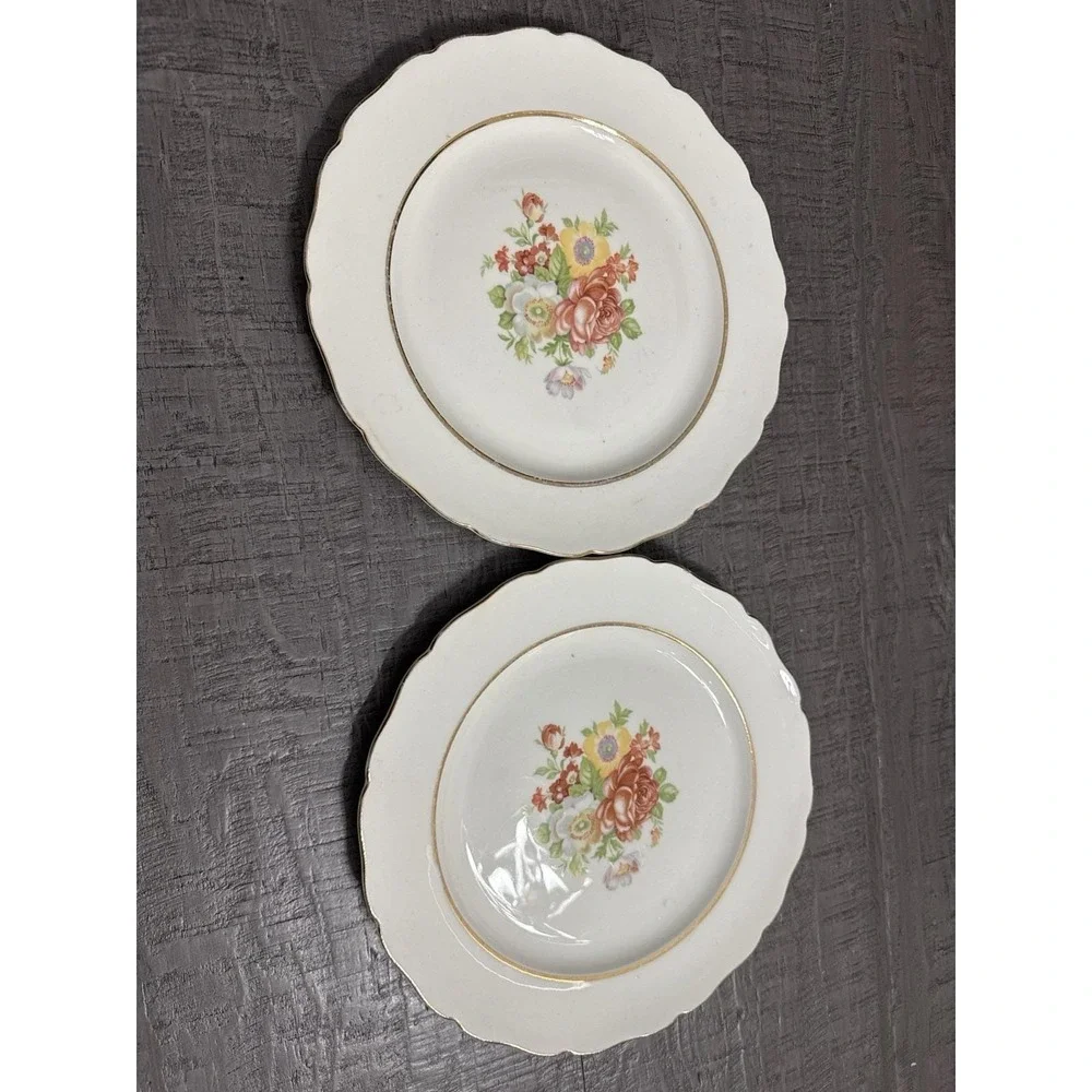 Vintage Canonsburg Floral Plates Set of 2 – 9